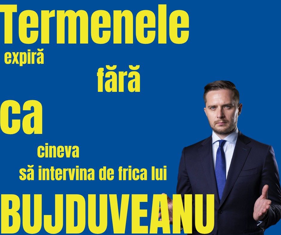 Stelian Bujduveanu: Investigații privind abuzul în serviciu și (ne)egalitatea în publicitatea stradală din 2025